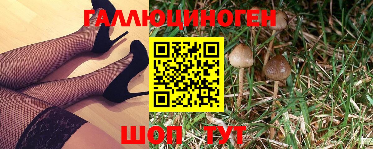 Псилоцибиновые грибы мицелий Армавир